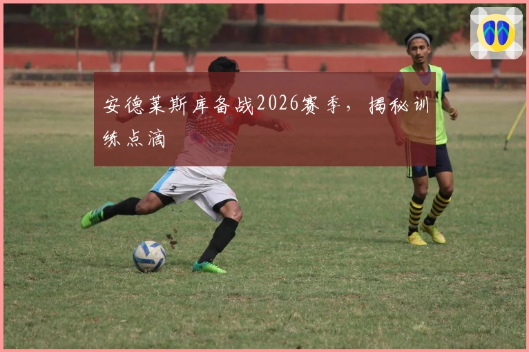 安德莱斯库备战2026赛季，揭秘训练点滴